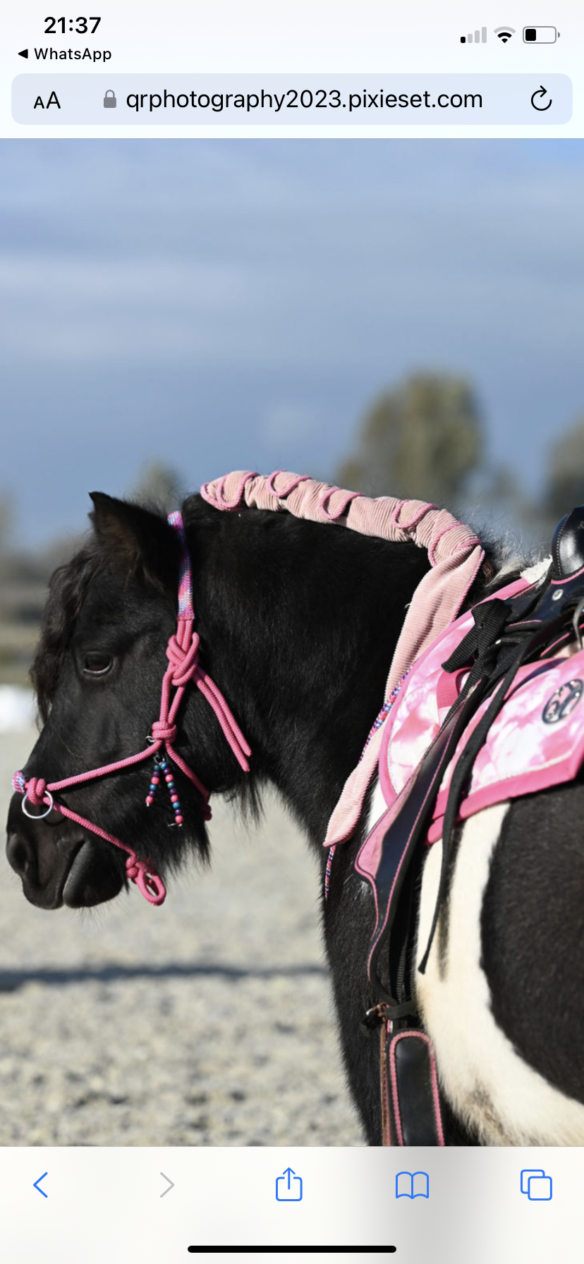 Braid protectors for Shetland & pony