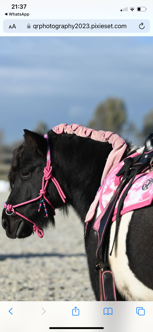 Vlechtbeschermers voor Shetlander & pony