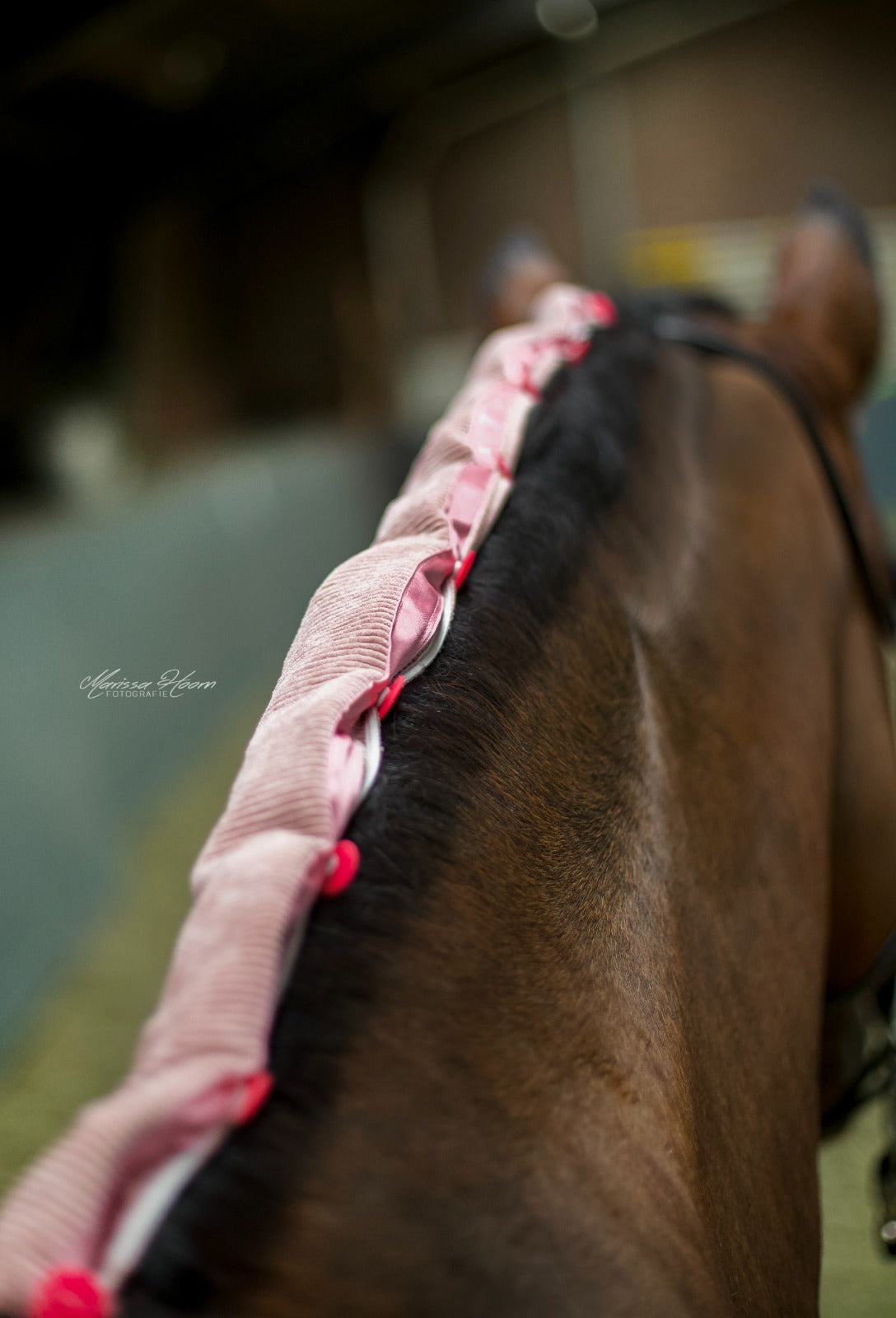 Zwarte of roze knotbeschermer