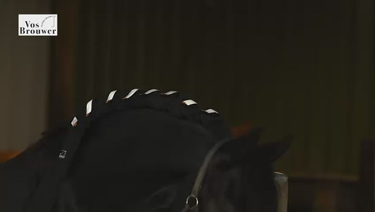 Reflektierender Geflechtschutz